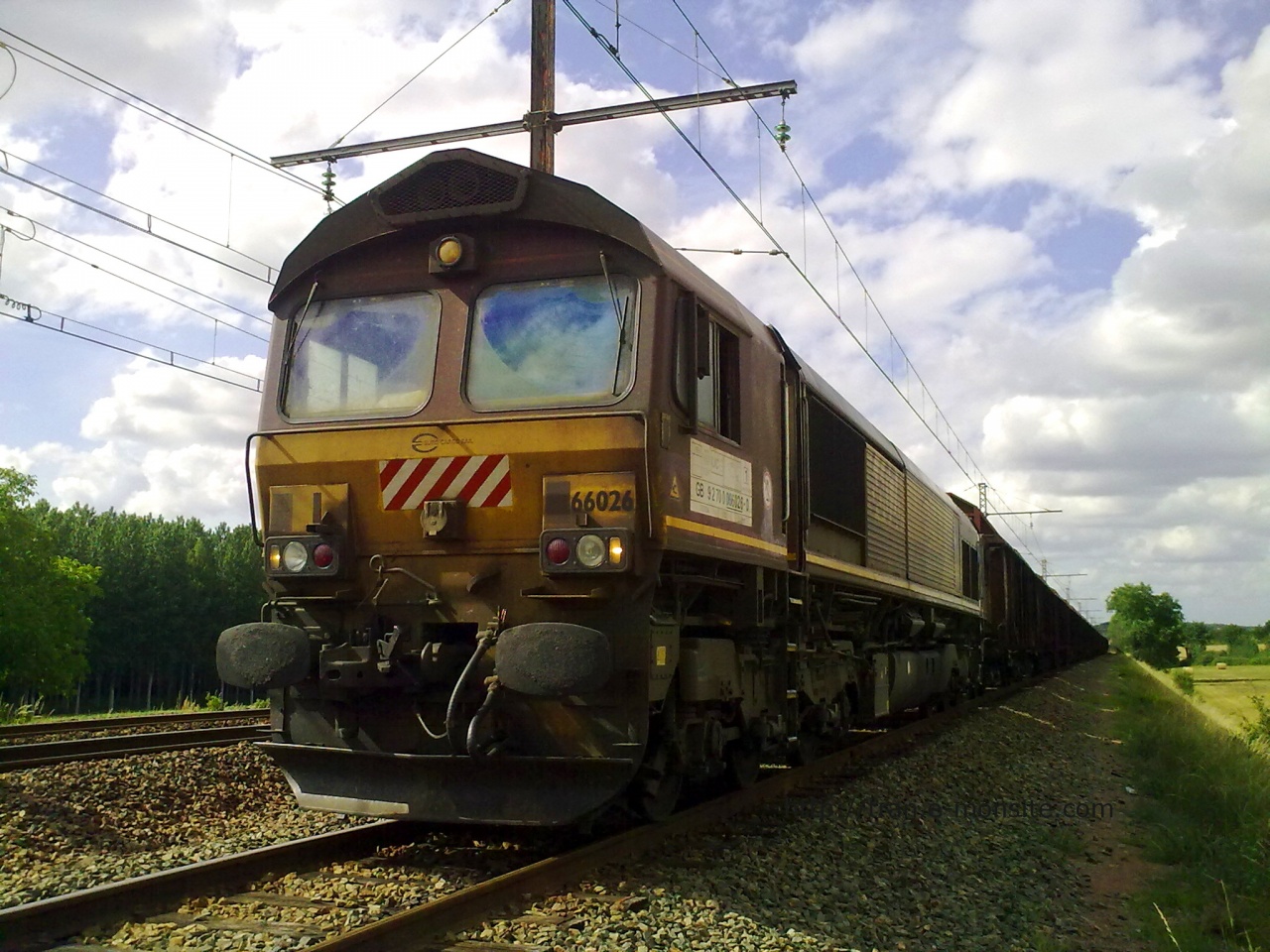 Locomotive Diesel Class 66026 de chez ECR